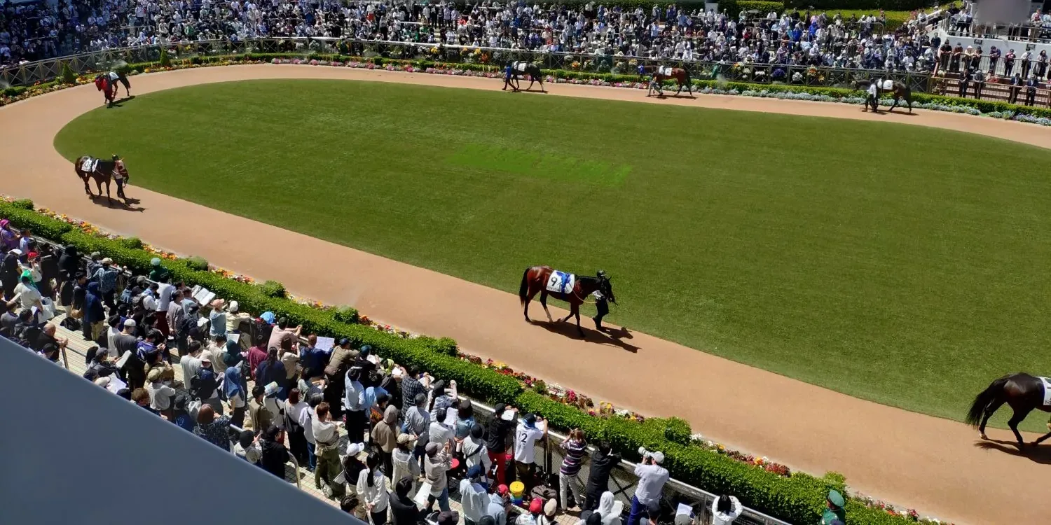 晴れた日の中山競馬場のパドック。楕円の芝の周りを、人に引かれた馬が歩き、柵の外に大勢の人が並んでいます