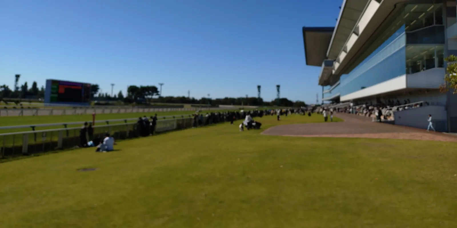 晴れた日の競馬場。右にガラス張りのスタンド、手前に芝生、左にコースとターフビジョン