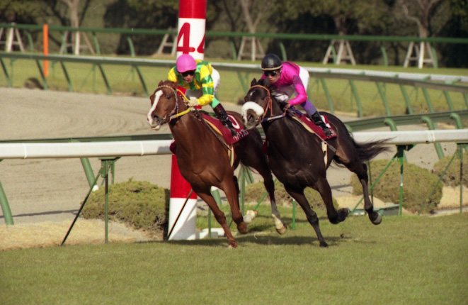 阪神大賞典で並ぶ二頭（右がナリタブライアン、左がマヤノトップガン）