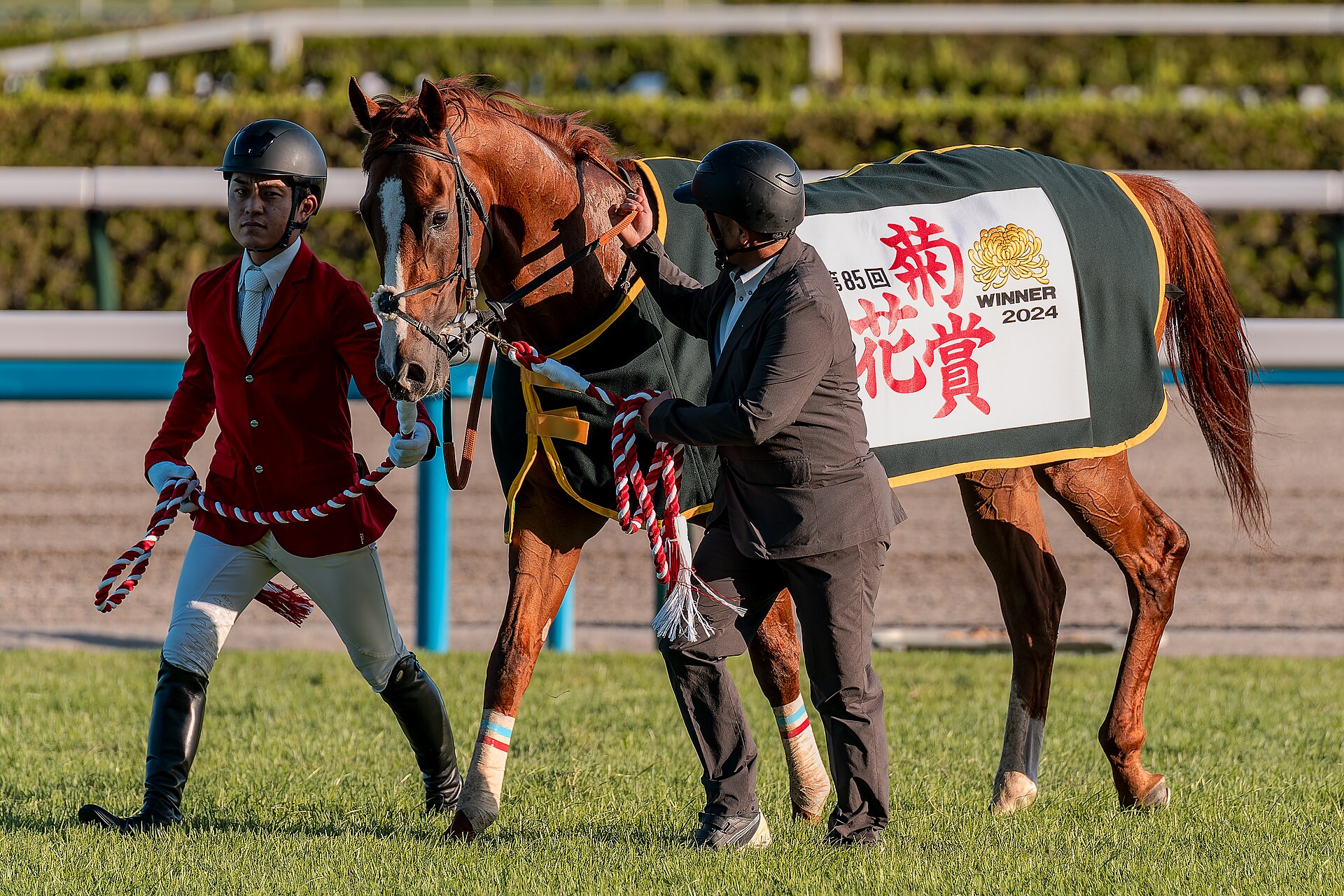 アーバンシック 菊花賞優勝時