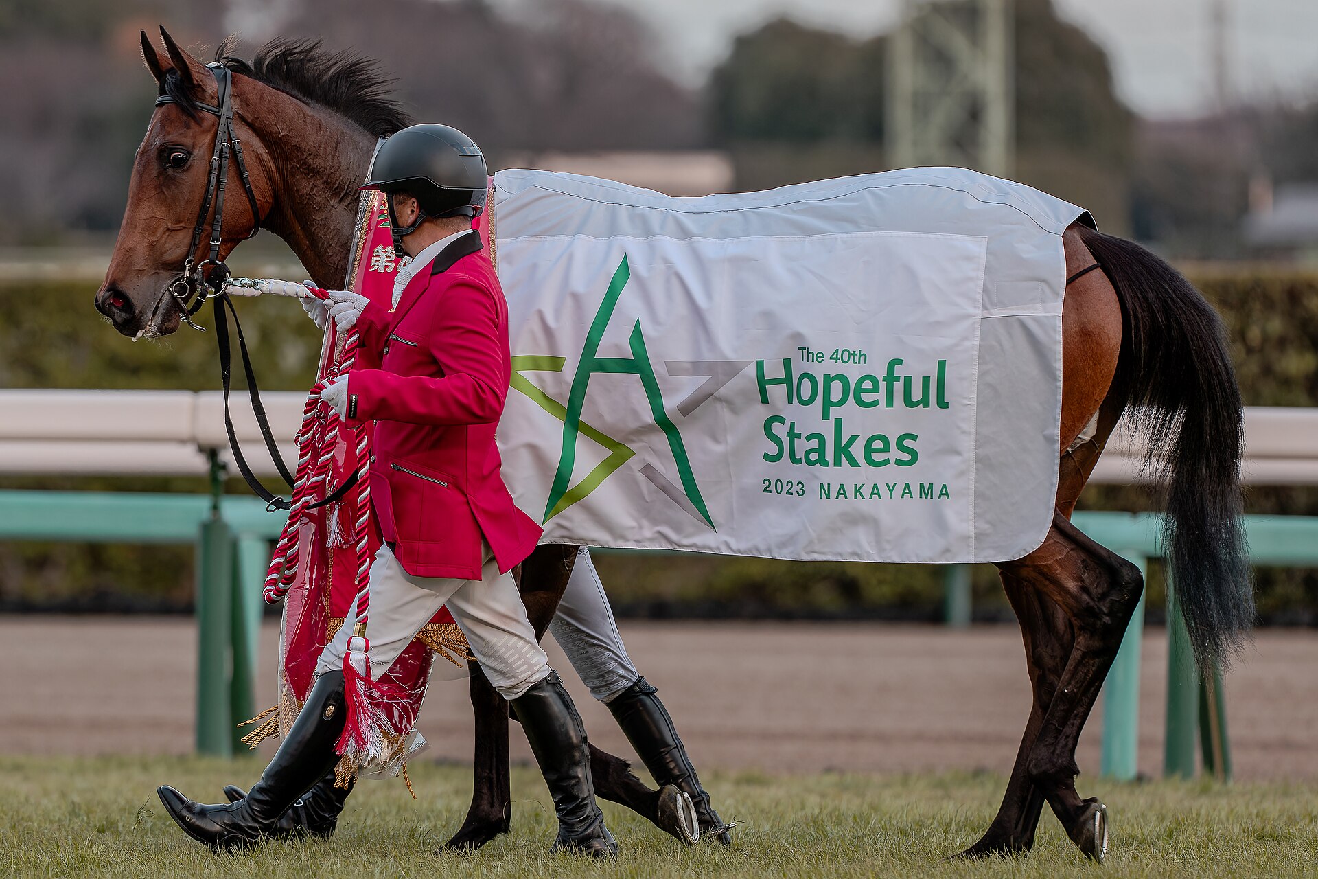 JRA Hopeful Stakes 2023 Regaleira