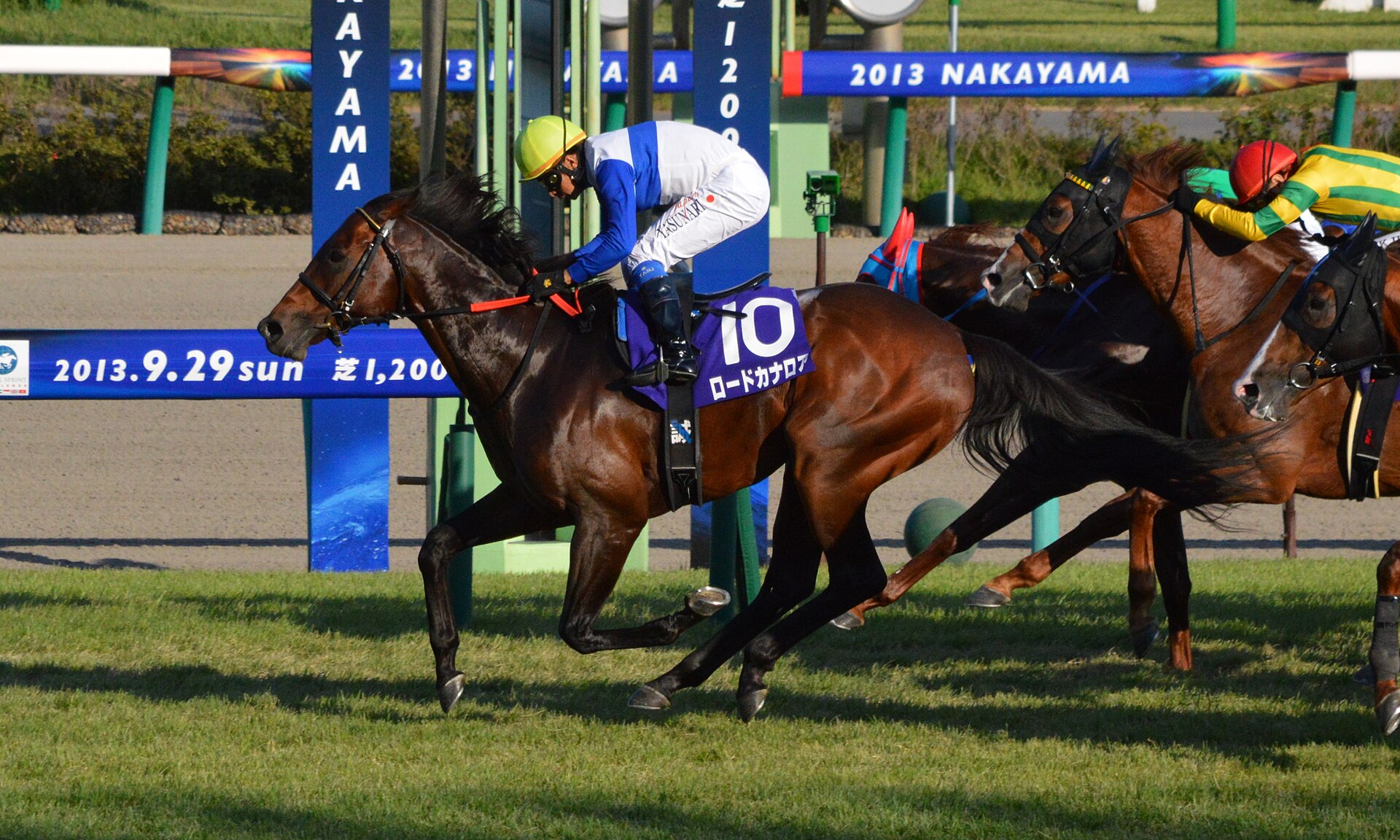 2013年スプリンターズステークスのロードカナロア