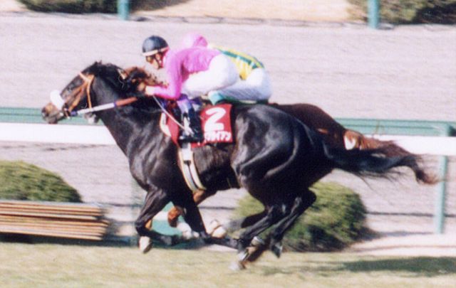 1996年3月9日、阪神競馬場のナリタブライアン