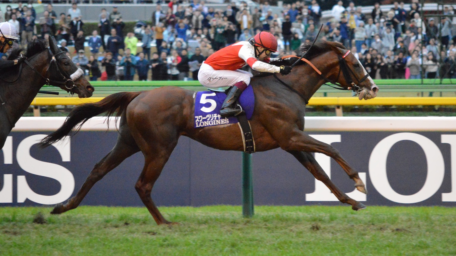 Suave Richard Japan Cup 2019(IMG1)